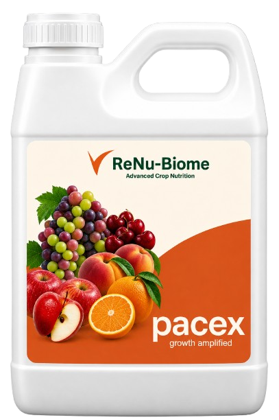 Pacex