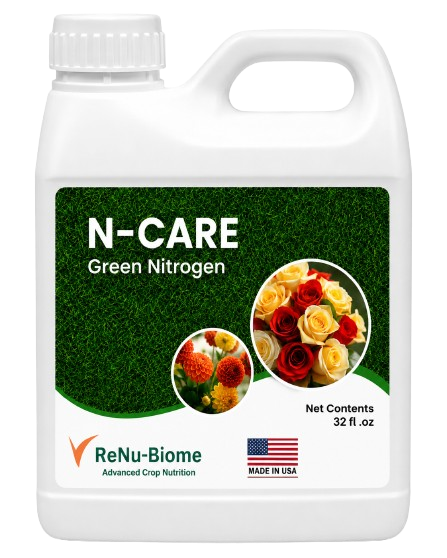 N-CARE