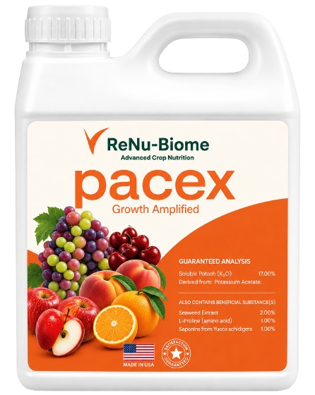 Pacex